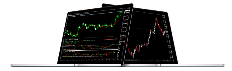Hot forex platform download